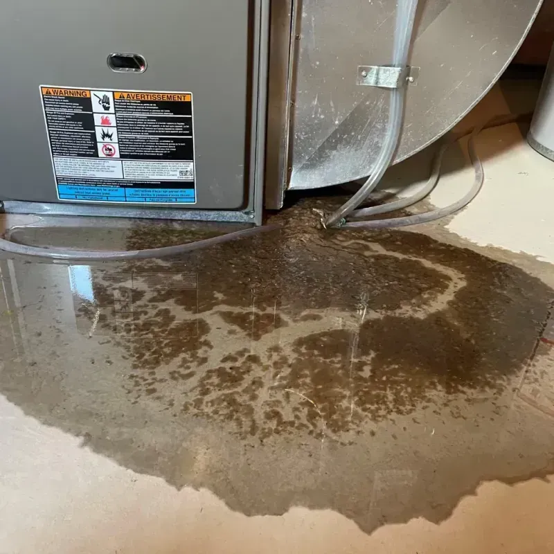 Appliance Leak Cleanup in Charlotte Harbor, FL